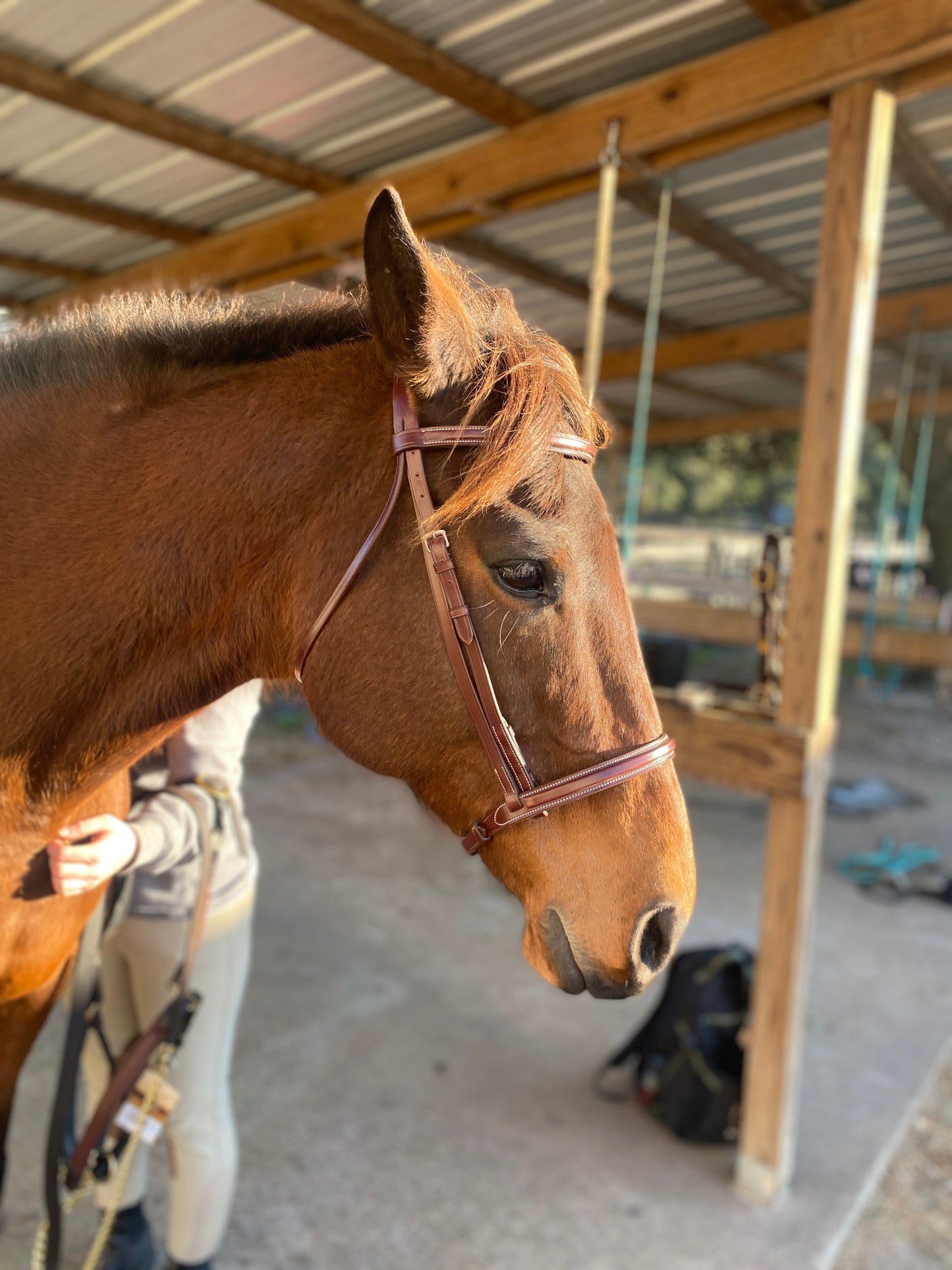 Italian Leather Snaffle Bridle with Reins