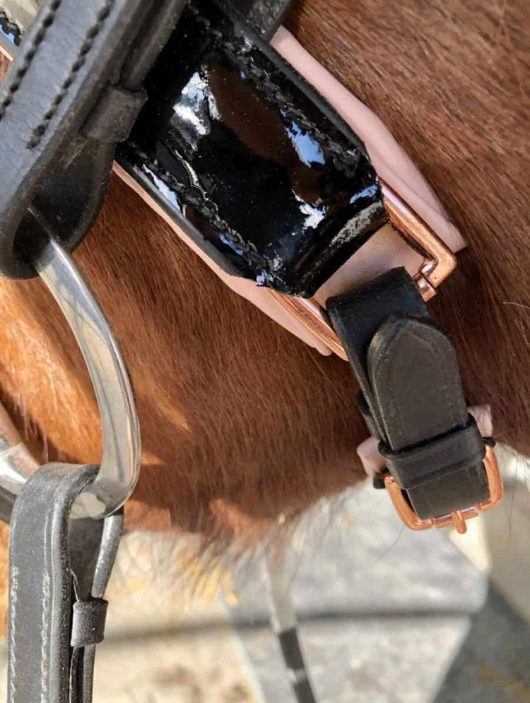 Rose Gold Dressage Bridle