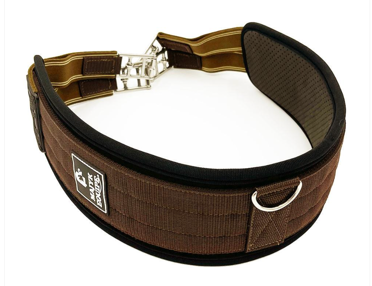 MAJYK EQUIPE HIGH EFFICIENCY ENGLISH GIRTH - BROWN