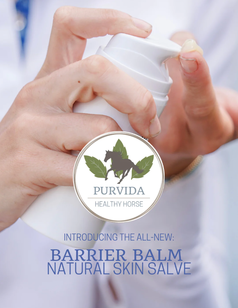Purvida Barrier Balm