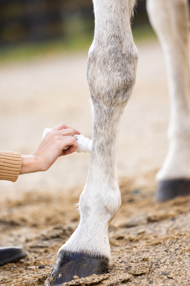 Purvida Roll-On Relief Liniment