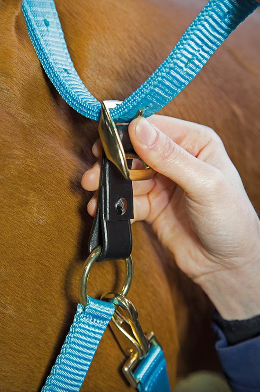 Breakaway Halter Leather Replacement Piece