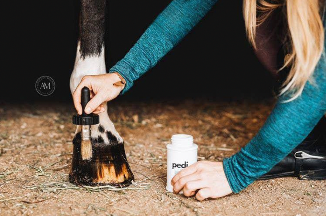 Pedi Hoof Polish