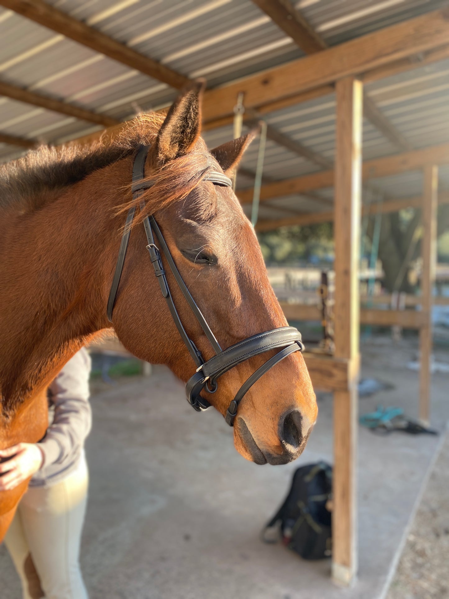 Black Snaffle Dressage Bridle with Flash