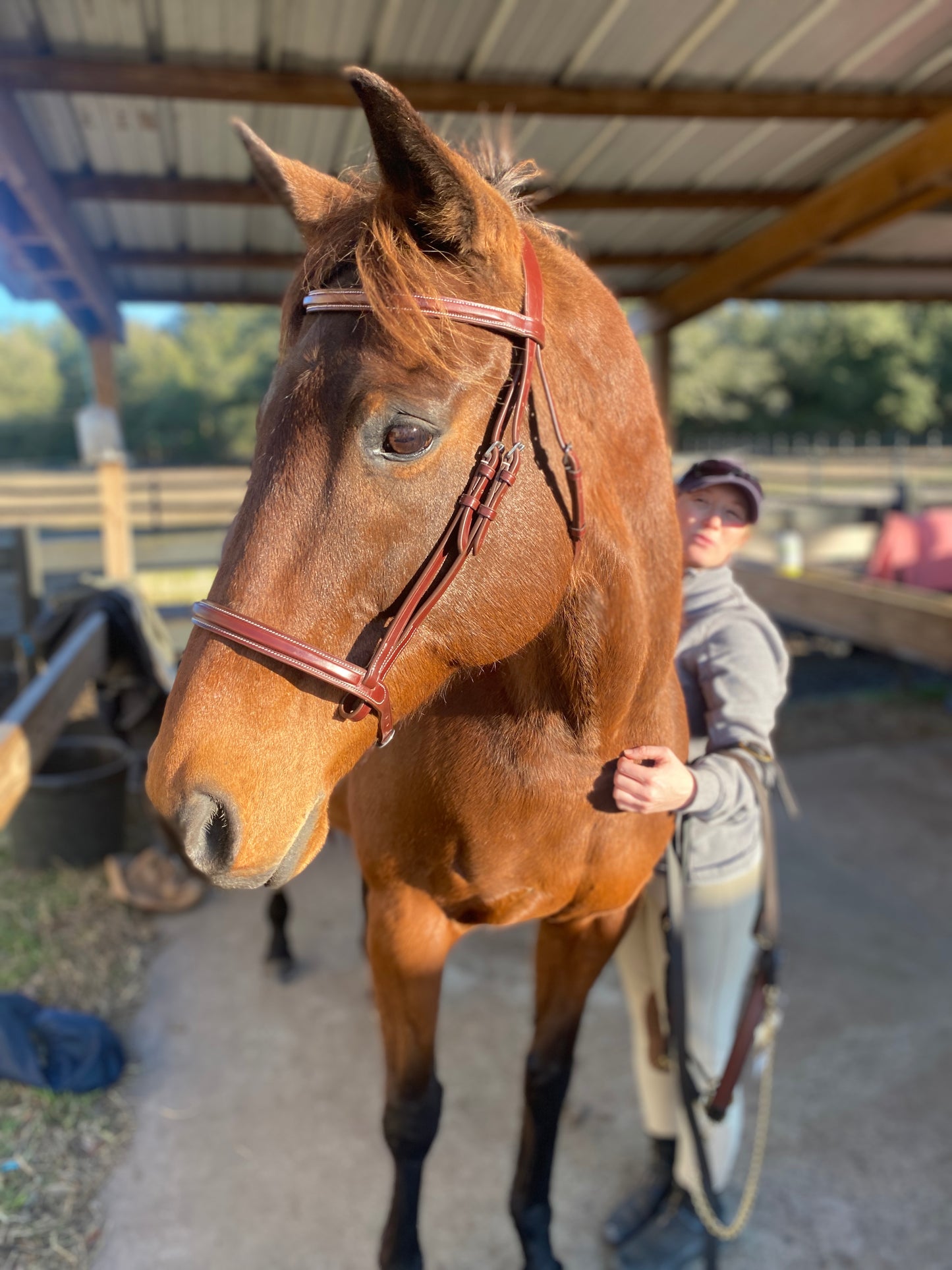 Italian Leather Snaffle Bridle