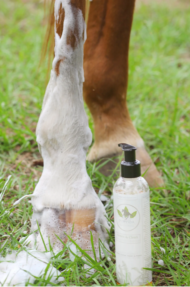 Purvida Green N' Clean Natural Horse Shampoo