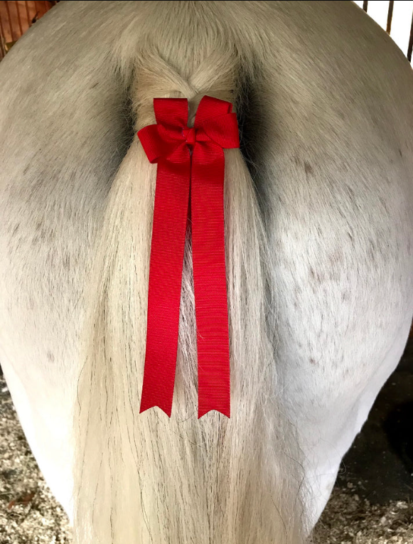 Pony Tail Bow - Red Ribbon